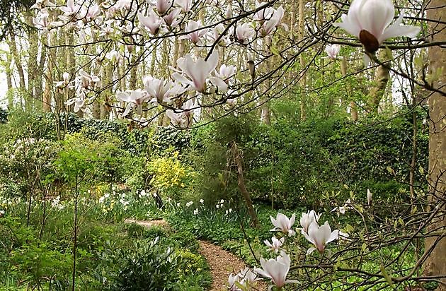 voorjaar - Het Tuinpad Op / In Nachbars Garten
