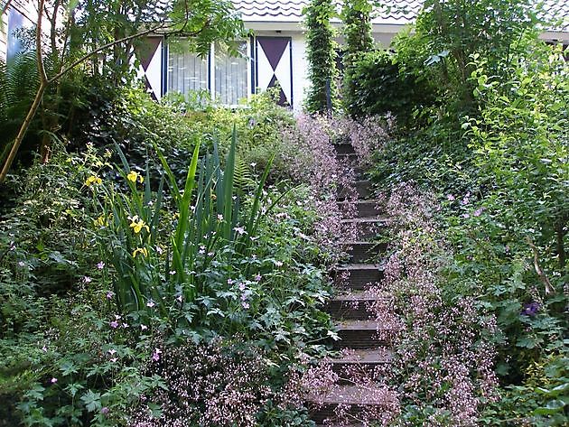 trapje met schildersverdriet - Het Tuinpad Op / In Nachbars Garten