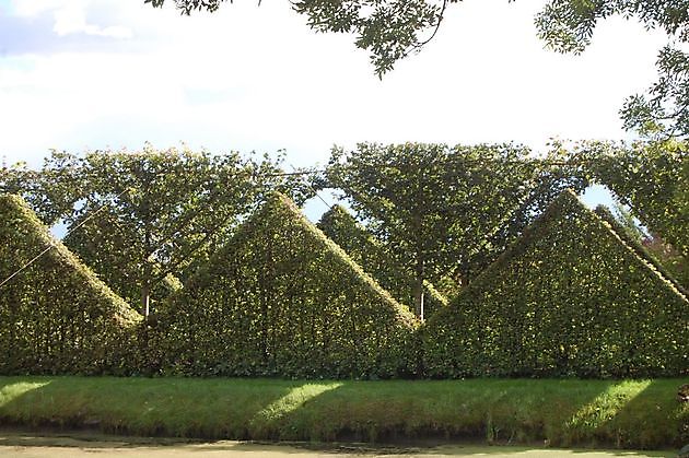  - Het Tuinpad Op / In Nachbars Garten