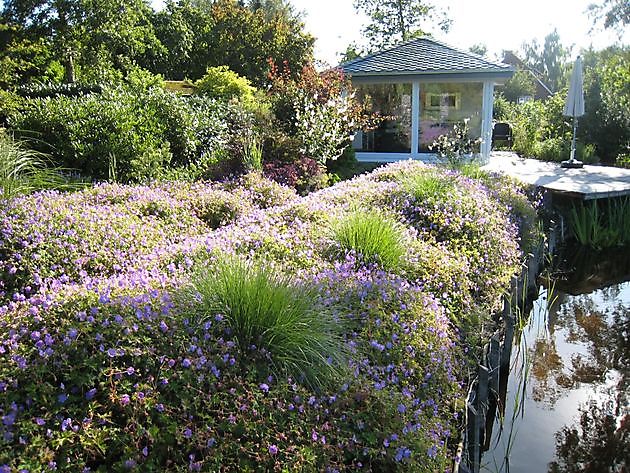 Wassergarten Ostrhauderfehn