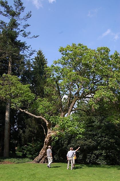 Pastorietuin Emsbüren Emsbüren - Het Tuinpad Op / In Nachbars Garten