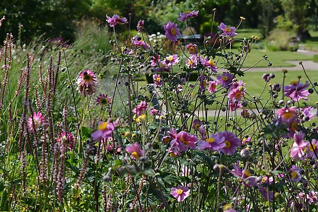  - Het Tuinpad Op / In Nachbars Garten