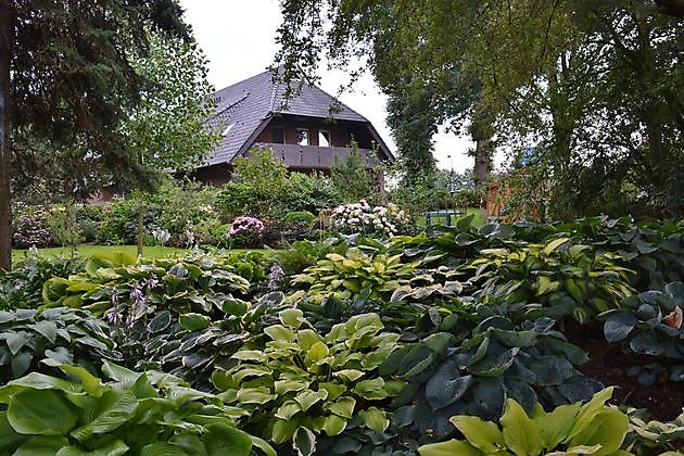  - Het Tuinpad Op / In Nachbars Garten