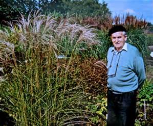  - Het Tuinpad Op / In Nachbars Garten