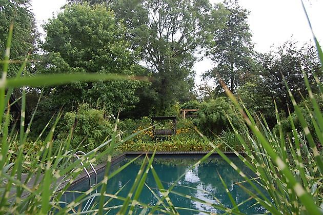  - Het Tuinpad Op / In Nachbars Garten