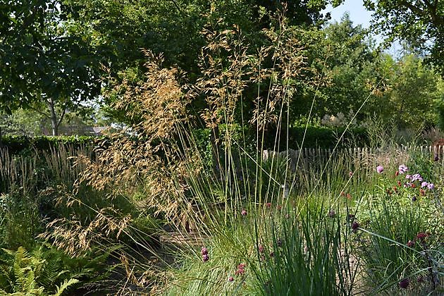 Kwekerij en Kijktuin Aan de Dijk Oudeschip