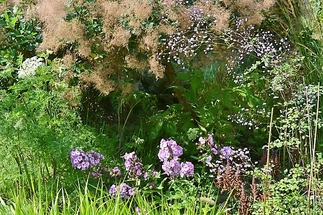 Kwekerij en Kijktuin Aan de Dijk Oudeschip