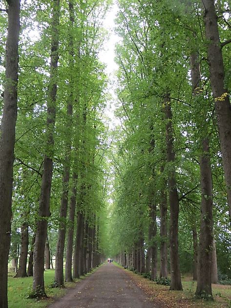  - Het Tuinpad Op / In Nachbars Garten