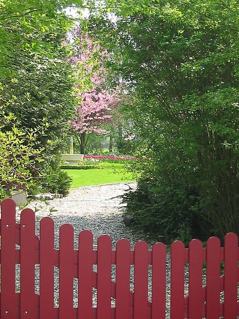 De Witte Wolk Nieuw Scheemda - Het Tuinpad Op / In Nachbars Garten