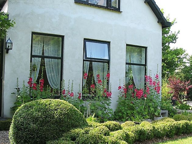  - Het Tuinpad Op / In Nachbars Garten