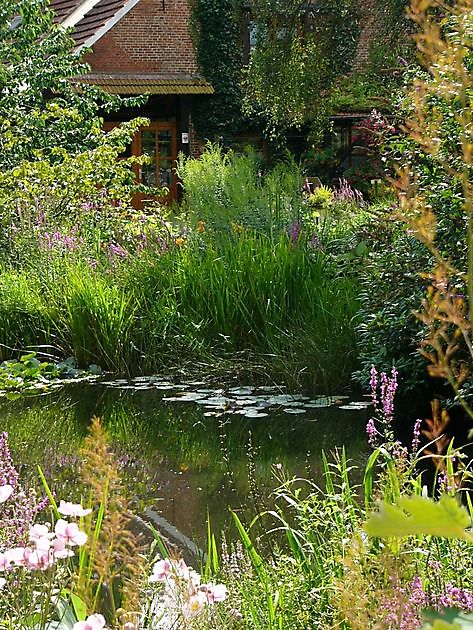 Naturgarten Naschke Papenburg - Het Tuinpad Op / In Nachbars Garten