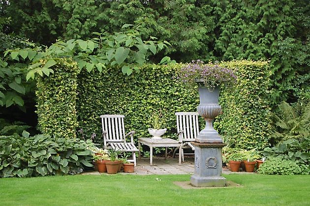  - Het Tuinpad Op / In Nachbars Garten