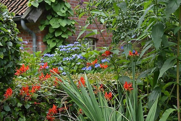 Garten Elke & Manfred Meins Rastede-Ipwege