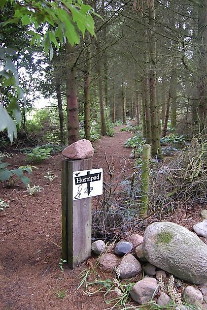 The Stonefarm Stadskanaal