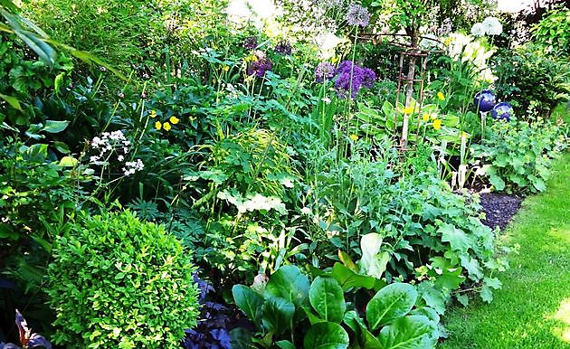  - Het Tuinpad Op / In Nachbars Garten