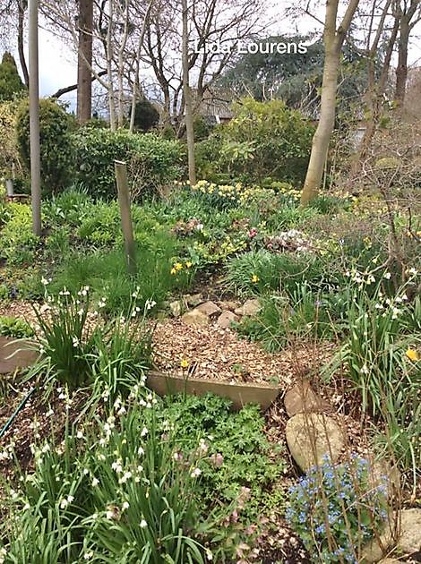  - Het Tuinpad Op / In Nachbars Garten