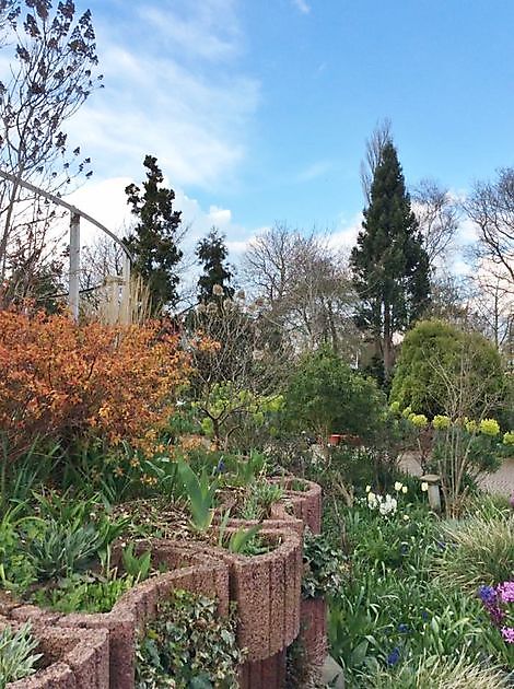 Tuin Lourens Stadskanaal - Het Tuinpad Op / In Nachbars Garten