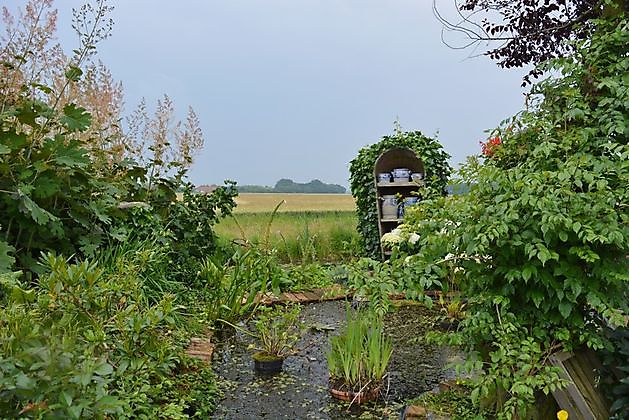 Bloummhoeske 't Waar - Het Tuinpad Op / In Nachbars Garten