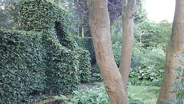 Tuin en Atelier Inez van Schooneveld Bunde - Het Tuinpad Op / In Nachbars Garten