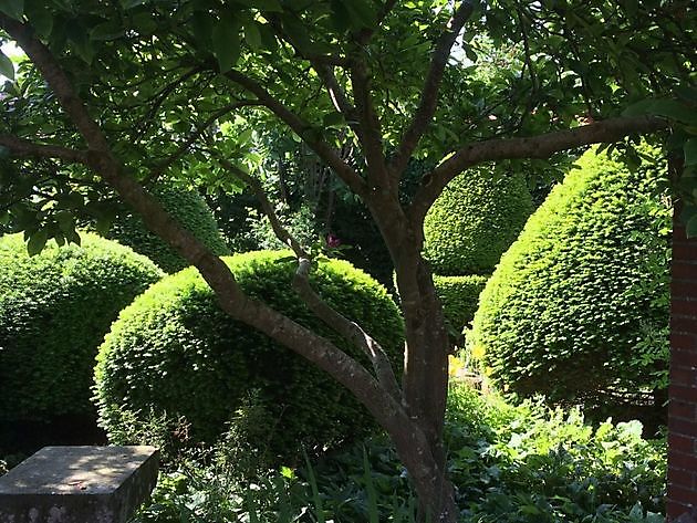  - Het Tuinpad Op / In Nachbars Garten