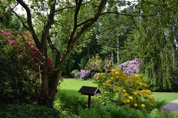  - Het Tuinpad Op / In Nachbars Garten