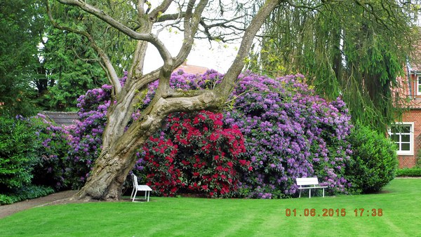  - Het Tuinpad Op / In Nachbars Garten