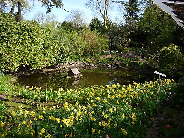 Naturgarten Naschke Papenburg