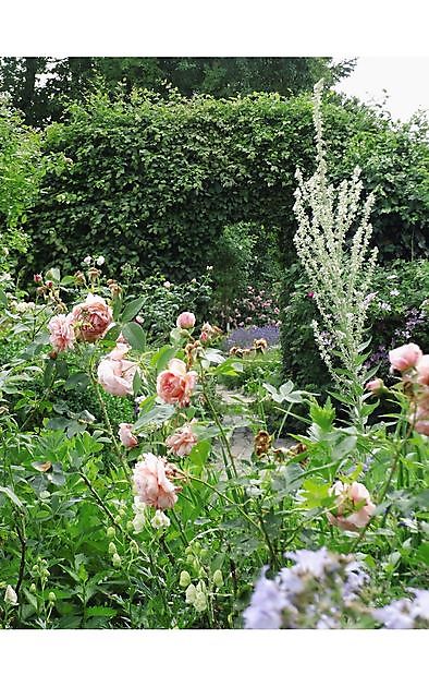 Blütenreich am Deich Elsfleth - Het Tuinpad Op / In Nachbars Garten