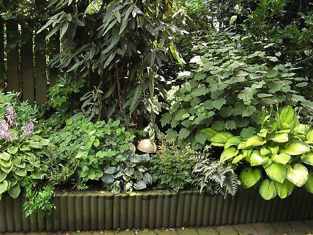 Jetskes Garten De Krim - Het Tuinpad Op / In Nachbars Garten