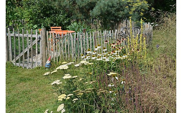 Tuin van Helen Buwalda Groningen