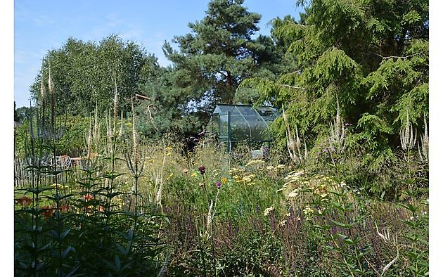 Tuin van Helen Buwalda Groningen