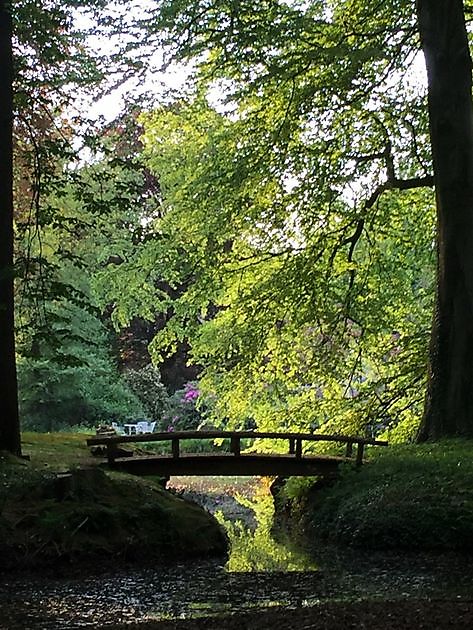 Landschapspark Von Witzleben Hude