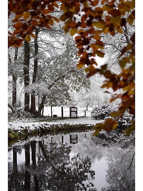 Landschapspark Von Witzleben Hude