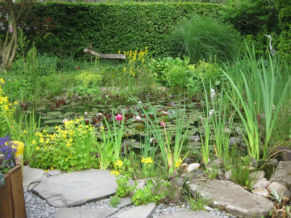  - Het Tuinpad Op / In Nachbars Garten