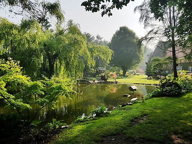 Der Garten von Johannes & Anne Rolfes Groß Berßen