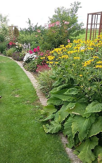 De Tuinfluiter Veenoord - Het Tuinpad Op / In Nachbars Garten