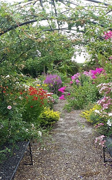 De Tuinfluiter Veenoord - Het Tuinpad Op / In Nachbars Garten
