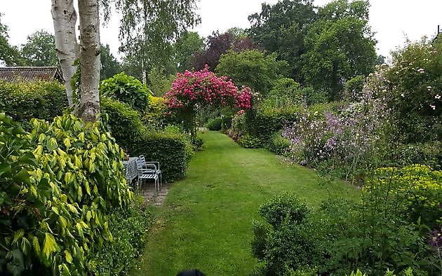 De Tuin van Anneke van Apeldoorn Havelte - Het Tuinpad Op / In Nachbars Garten