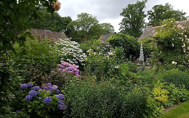 De Tuin van Anneke van Apeldoorn Havelte - Het Tuinpad Op / In Nachbars Garten