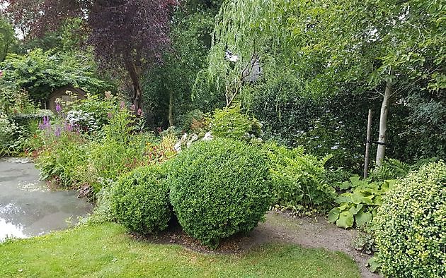 De Tuin van Anneke van Apeldoorn Havelte