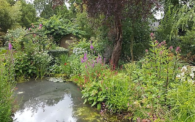 De Tuin van Anneke van Apeldoorn Havelte - Het Tuinpad Op / In Nachbars Garten