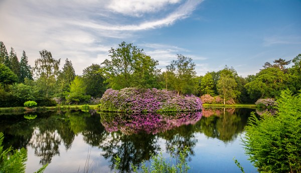 Lütetsburger Schlosspark Hage-Lütetsburg - Het Tuinpad Op / In Nachbars Garten