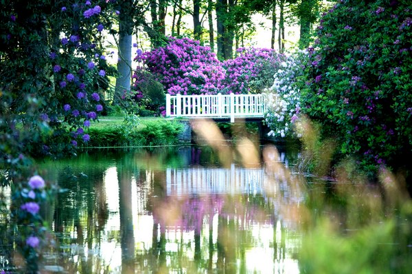 Lütetsburger Schlosspark Hage-Lütetsburg