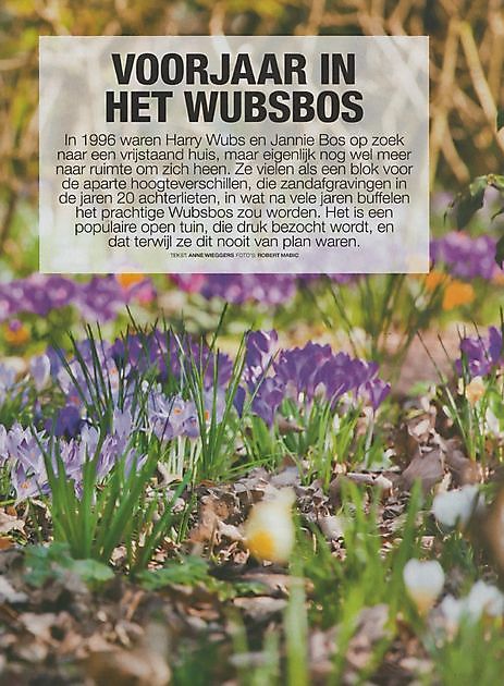 Tuinseizoen 2020 - Wubsbos Winschoten