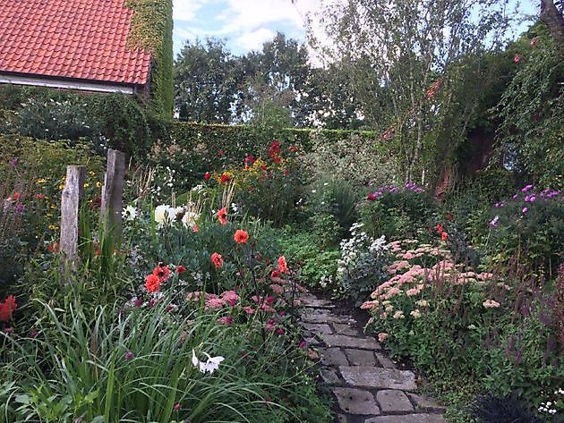 Diddens Westoverledingen - Esklum - Het Tuinpad Op / In Nachbars Garten