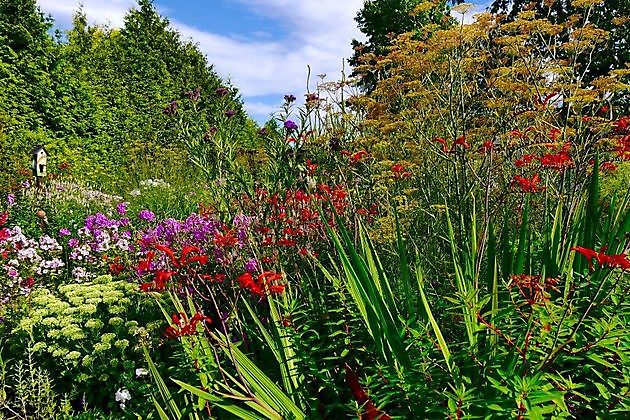  - Het Tuinpad Op / In Nachbars Garten