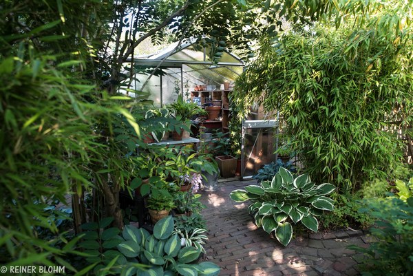 Blohm Brake - Het Tuinpad Op / In Nachbars Garten