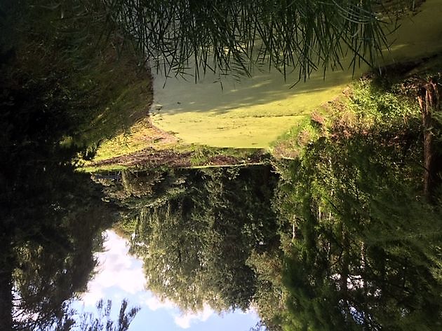 Arboretum Notoarestoen Eenrum