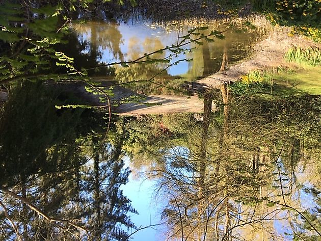  - Het Tuinpad Op / In Nachbars Garten