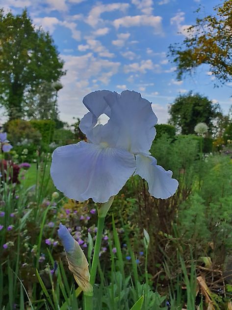 Garten Nauta de Blaauw Slochteren